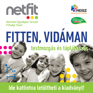 NETFIT Rendszer